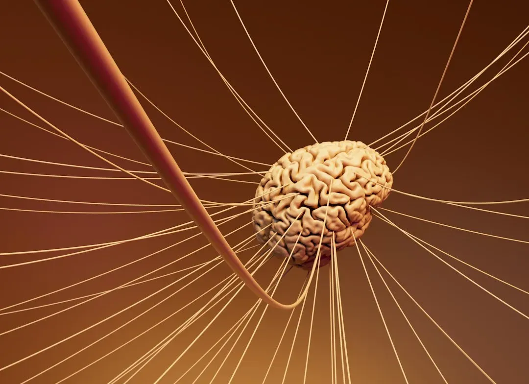 Networks, Not “Spots”: The Brain’s Secret Conversations (Image Credits: Unsplash)