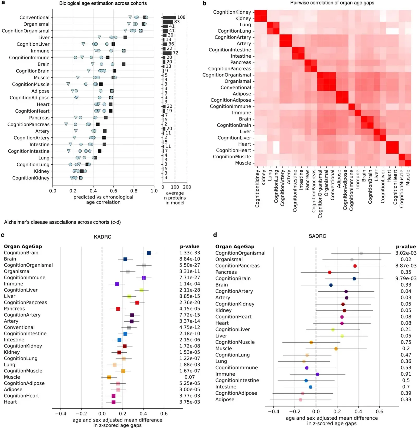 Why It Matters: Aging as the Root of Modern Disease (Image Credits: Wikimedia)