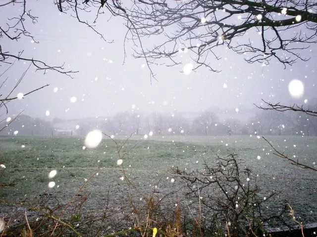 #1 - The Glacier Camp Diary That Documented "Impossible" Weather (From geograph.org.uk, CC BY-SA 2.0)