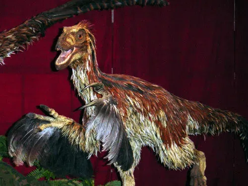 2. Deinonychus: The Raptor That Should Have Always Been Fluffy (CC BY-SA 2.0)
