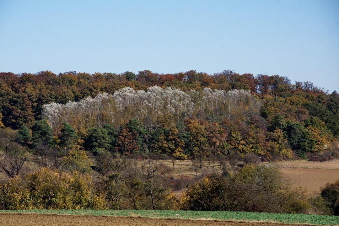 Dover, Delaware: Miocene Marine Treasures in the First State (Image Credits: Unsplash)