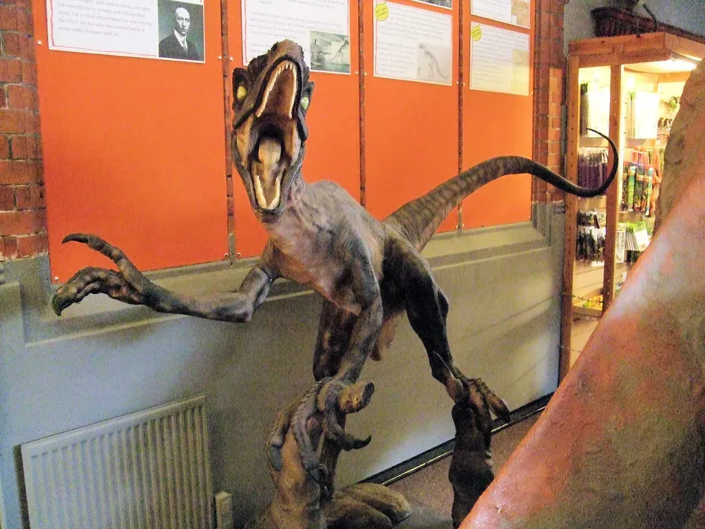 What Do Scientists Actually Mean By “Raptor”? (Jim Linwood, Flickr, CC BY 2.0)
