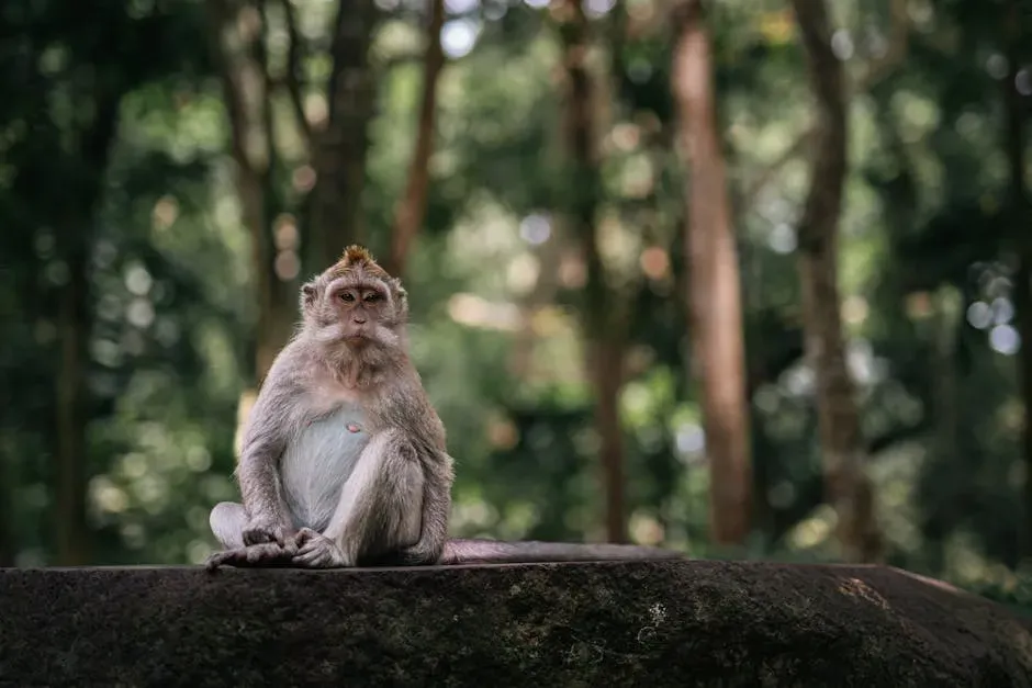 Conclusion: A Mystery That Changes Everything (Image Credits: Pexels)