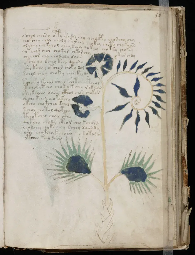 4. The Voynich Manuscript: A Book Nobody Can Read (Image Credits: Flickr)