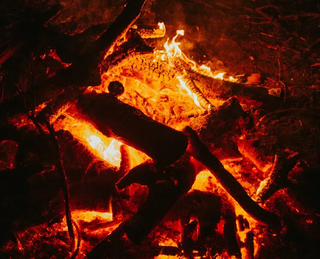 Fire as a Tool: Turning Nature Into a Partner (Image Credits: Unsplash)