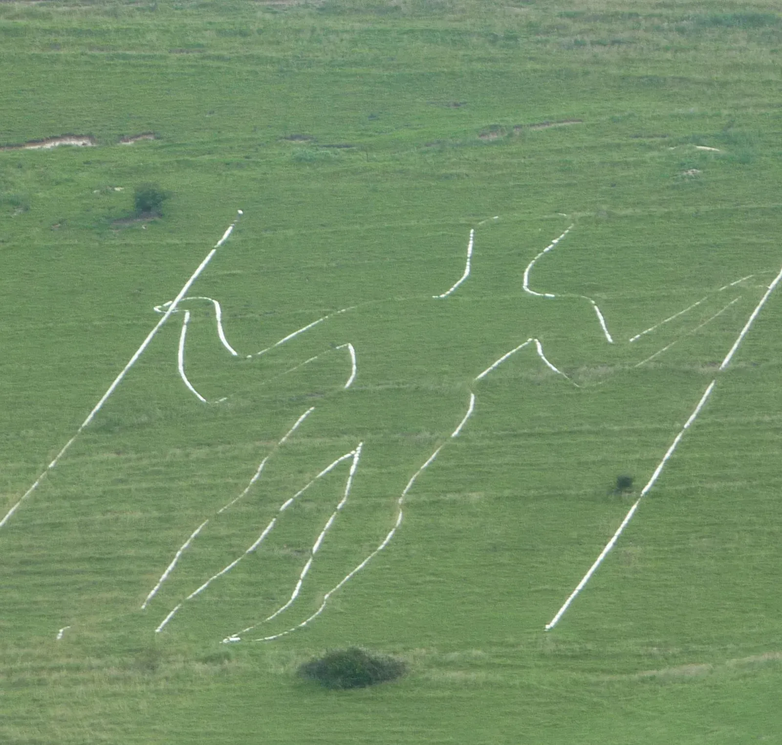 Long Man of Wilmington, England: A Two-Staff Figure Built for a High Vantage Point (By Immanuel Giel, CC BY-SA 3.0)