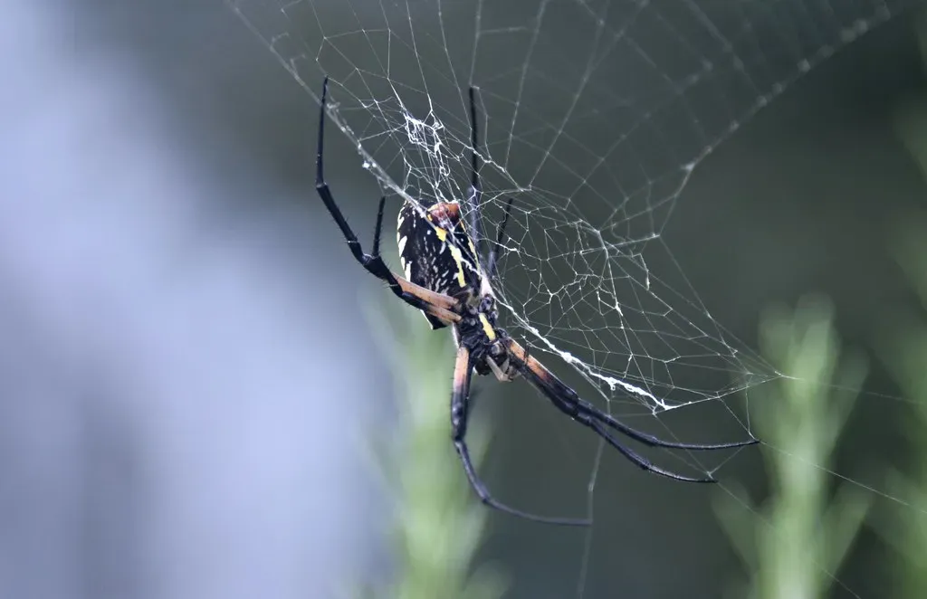 Why Scientists Can't Yet Match Nature's Recipe (Image Credits: Flickr)