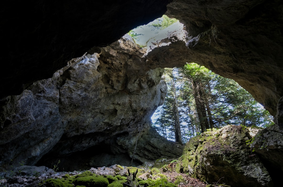 Cancer: Forest Hideaways and Cozy Caves (Image Credits: Unsplash)