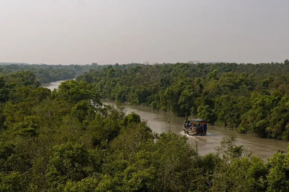 #8 The Vanished Coasts of the Sundarbans and Bengal Delta (Image Credits: Pexels)