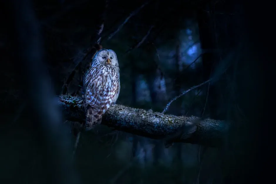 Scorpio: The Owl Watching From the Dark (Image Credits: Pexels)