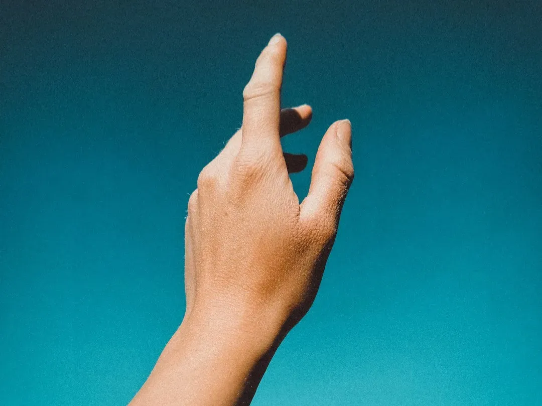 Skin: Your Self-Renewing Armor (Image Credits: Unsplash)