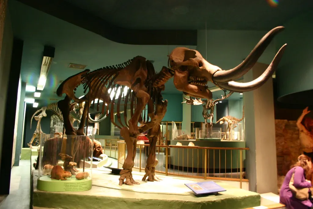 #1 - The Cerutti Mastodon Site: The Claim Archaeologists Love to Argue About (Ryan Somma, Flickr, CC BY-SA 2.0)