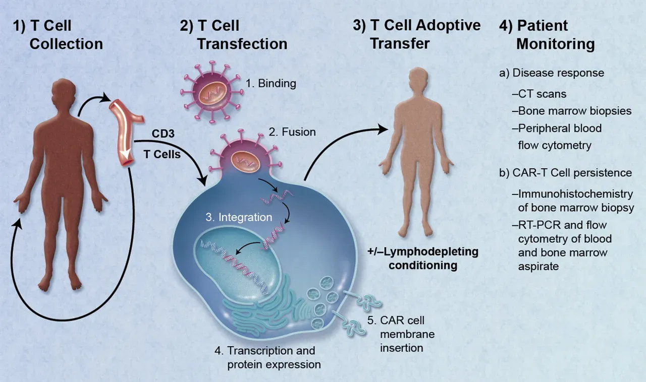 Revolutionary Gene Therapy for Aggressive Cancers (Image Credits: Wikimedia)