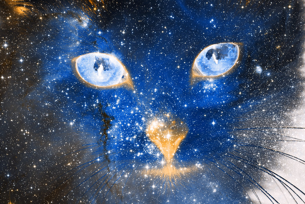 Sagittarius: The Cosmic Wanderer (Image Credits: Flickr)