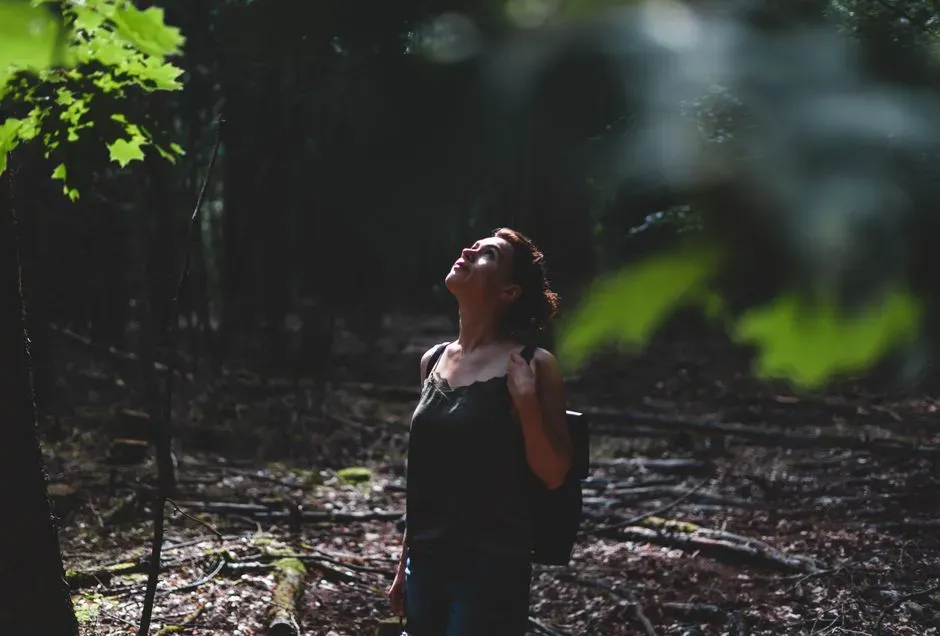 Conclusion: The Forest Is Not Just a Backdrop, It Is a Co-Author of Your Calm (Image Credits: Pexels)