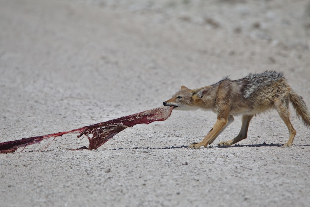 Toxic Tolerance: Urban Chemical Adaptation (Image Credits: Unsplash)