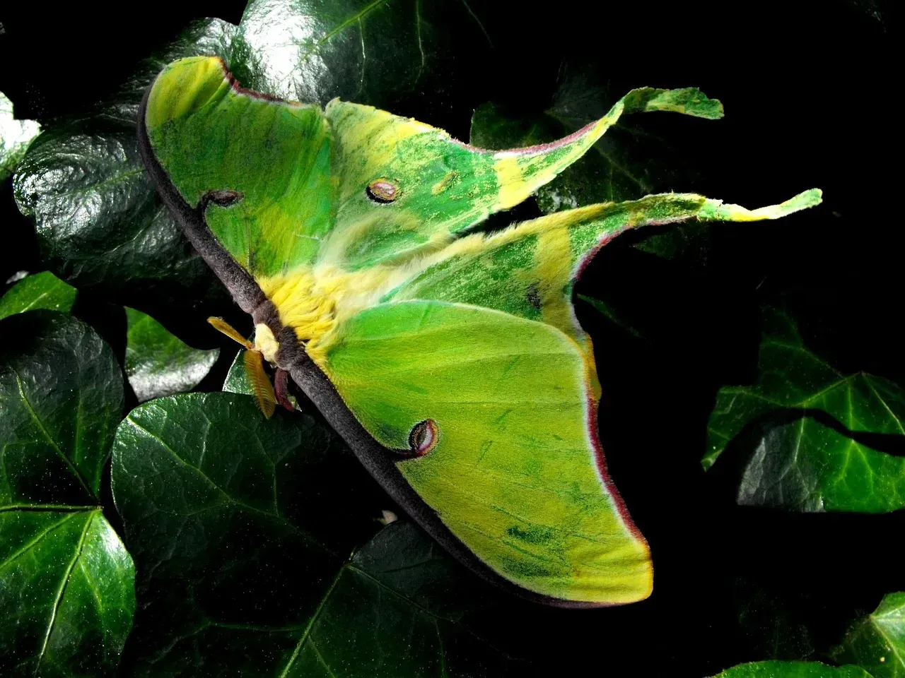 Fragility and Urgency: A Reminder That Time Is Short (Image Credits: Pixabay)