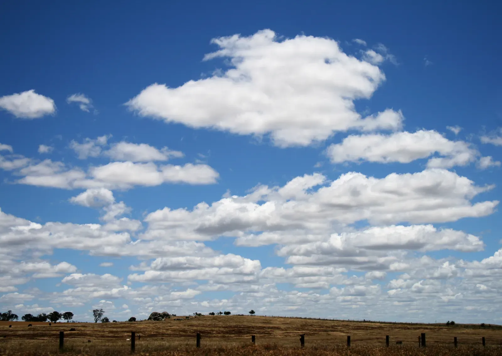 #9 - Cumulus Humilis (Fair-Weather Cumulus) (By Toby Hudson, CC BY-SA 3.0)