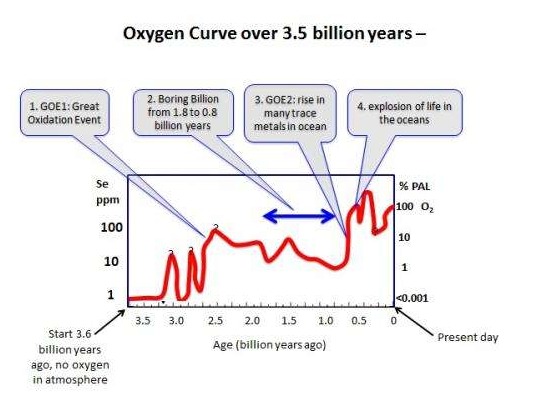 The Great Oxidation Event, Reconsidered (Image Credits: Wikimedia)