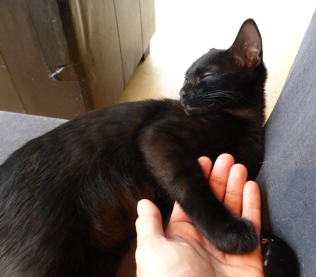 You possess a patient and observant nature (Image Credits: Flickr)