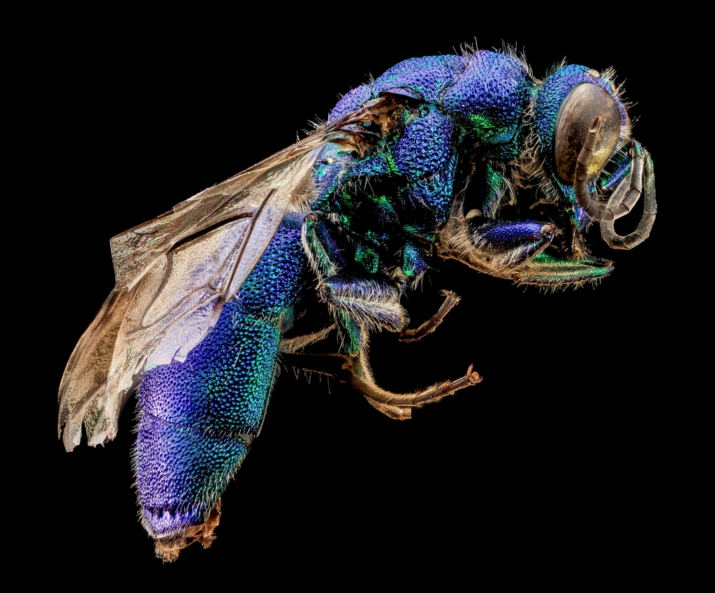 The Hidden Clues (Image Credits: Rawpixel)