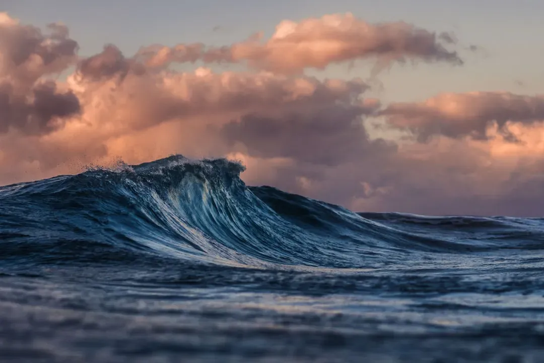 The Strange Calm Of Ocean Waves (Image Credits: Unsplash)