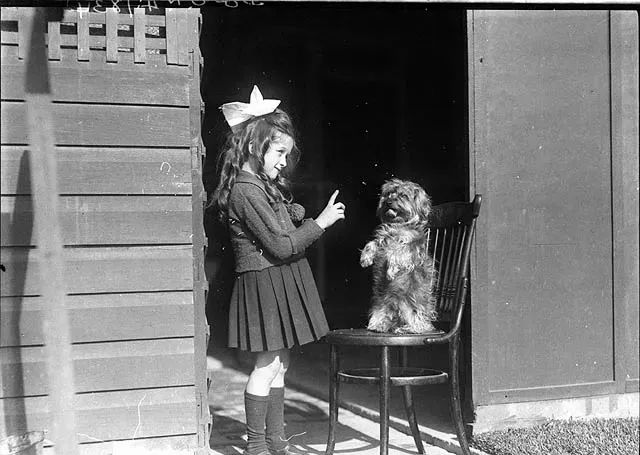 Why the Brain Treats Living Creatures as a Special Category (By State Library of New South Wales collection, No restrictions)