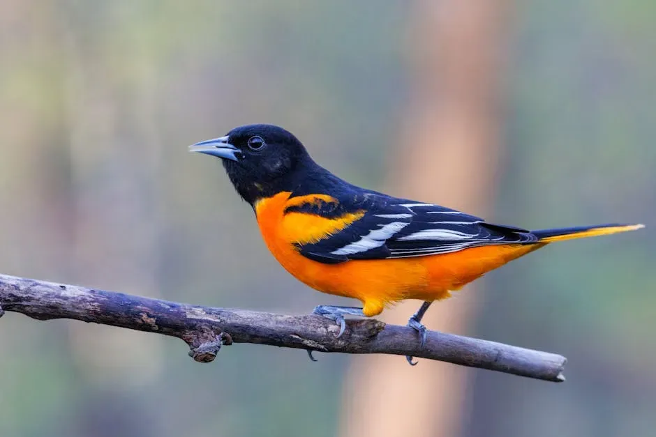 6. They Help Control Insects While Looking Gorgeous Doing It (Image Credits: Pexels)