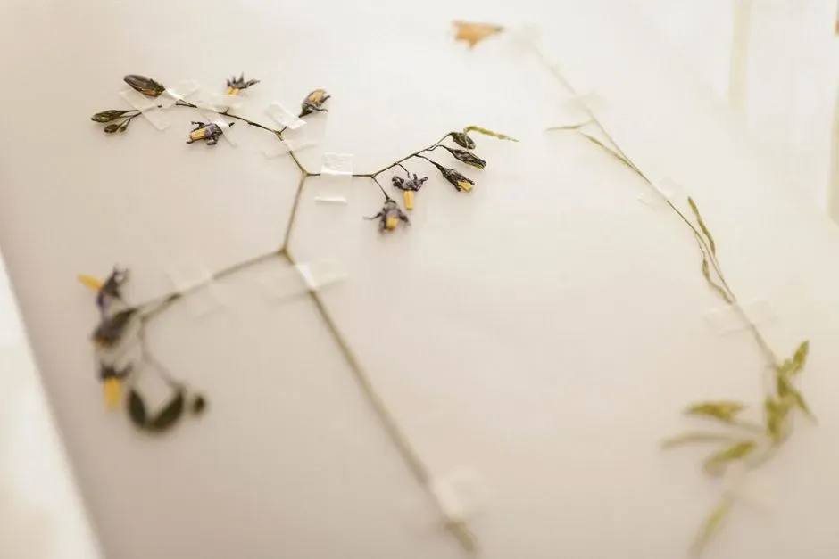 #16 - Pressed Plants That Never Find Their Way Home (Image Credits: Pexels)