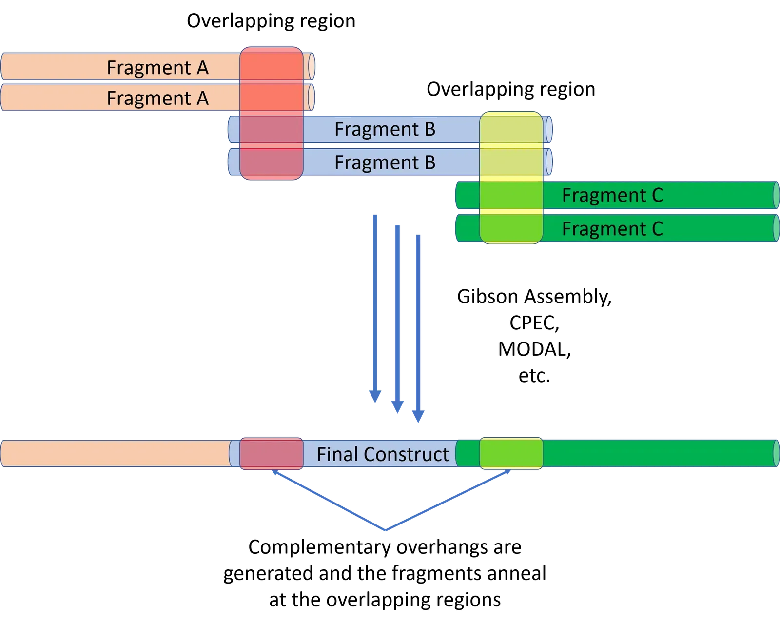 The Leap From Editing to Writing Life (Image Credits: Wikimedia)
