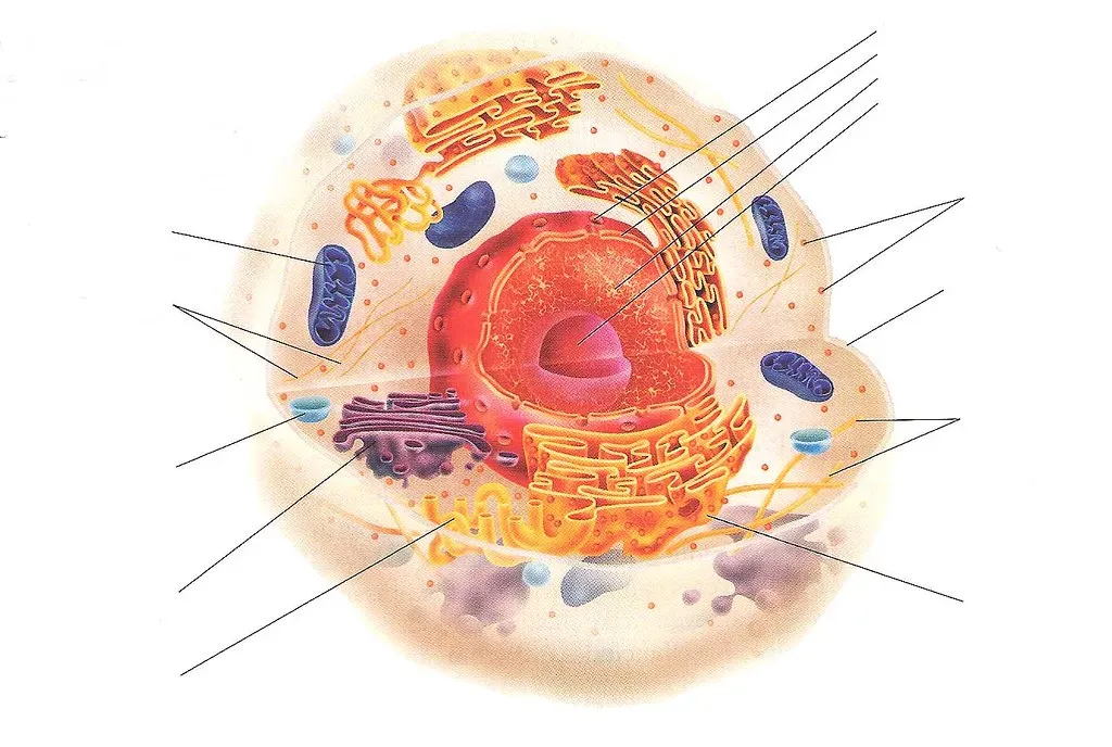 The Eukaryotic Leap and the Rarity of Complex Life (Image Credits: Flickr)