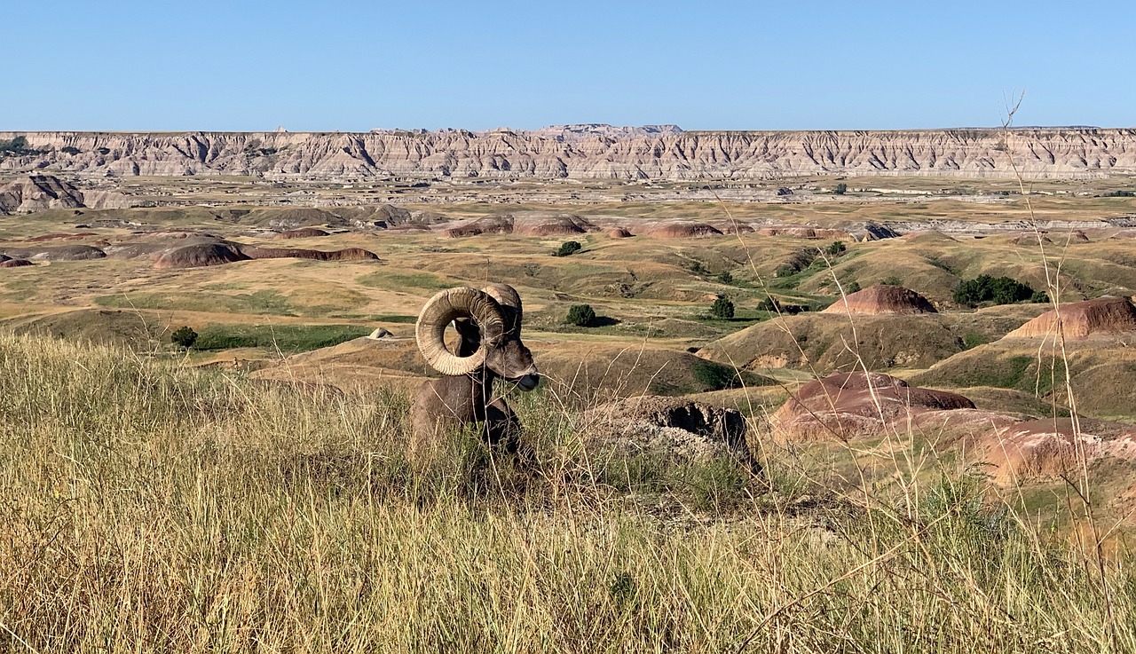 Badlands National Park, South Dakota (Image Credits: Pixabay)