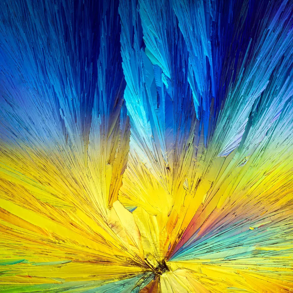 Why Life Forms Have Goals (Image Credits: Flickr)