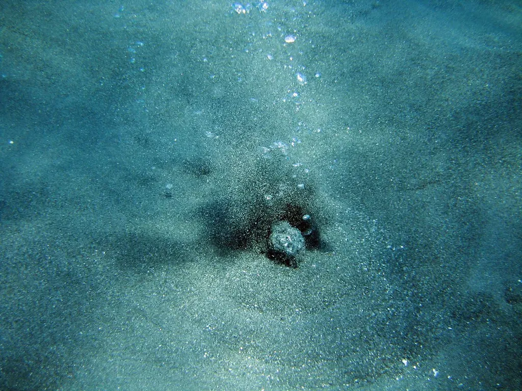 Hydrothermal Vents: Life Born in the Dark, at the Bottom of the Ocean (Image Credits: Flickr)