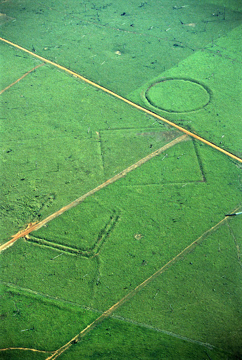 The Hidden Clues (Image Credits: Wikimedia)