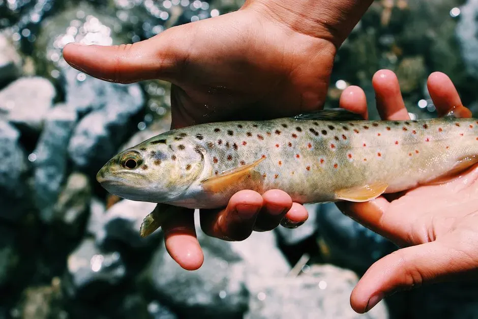 What Makes Siscowet Lake Trout So Special - and So Vulnerable? (Image Credits: Pexels)