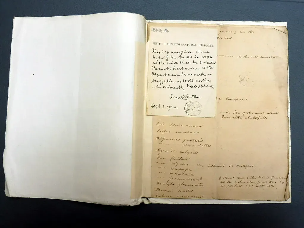 #6 - The Herbarium Codes That Lead to Nowhere (NATT-at-NKM, Flickr, CC BY 2.0)
