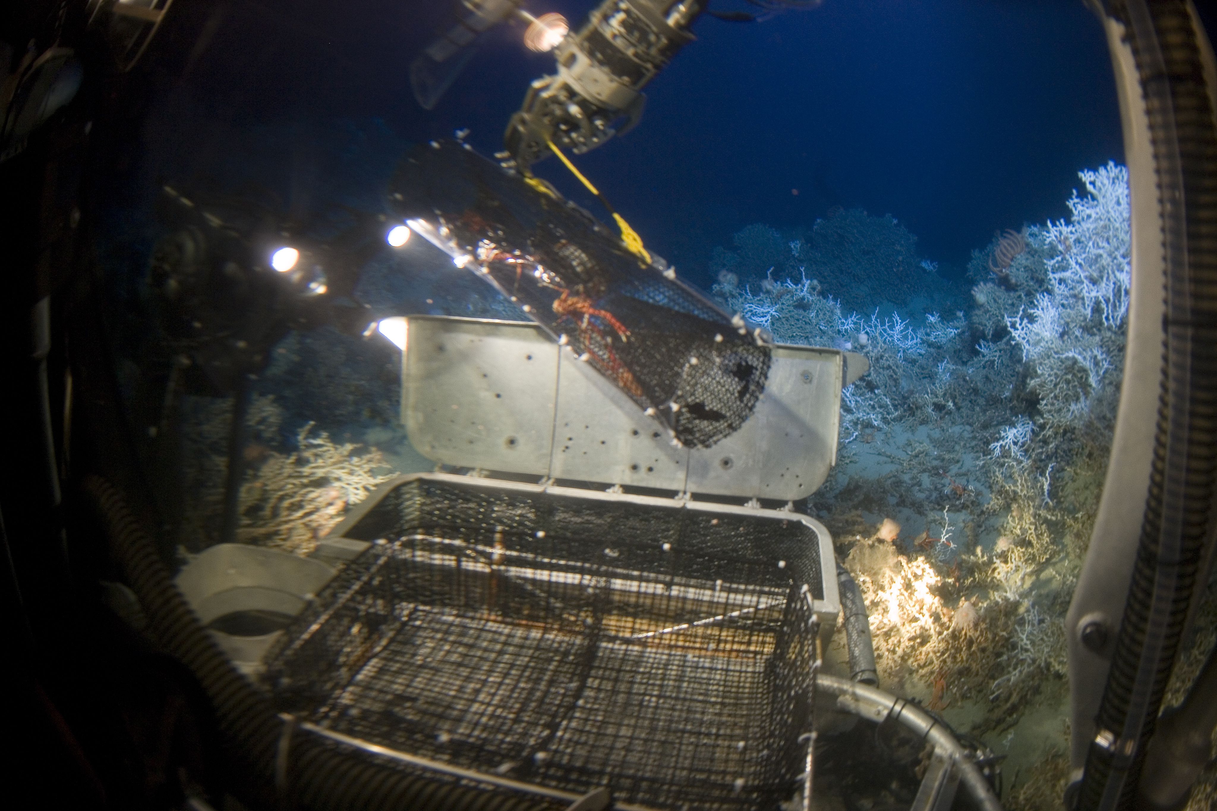 The Future of Deep-Sea Discovery (Image Credits: Wikimedia)