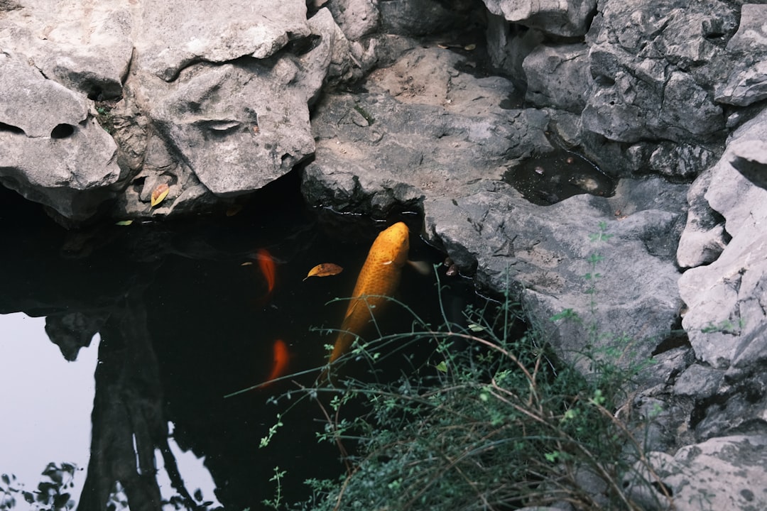 What Collapsed, and Why (Image Credits: Unsplash)