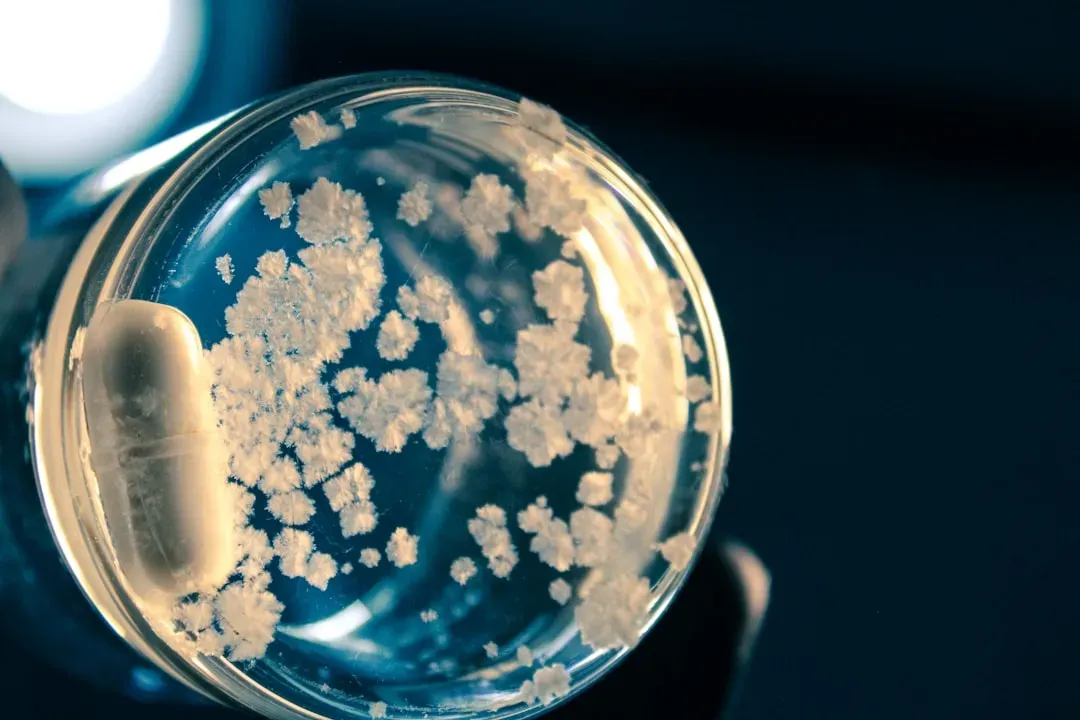 Antarctic Microbes: Life at the Edge of Nothing (Image Credits: Unsplash)