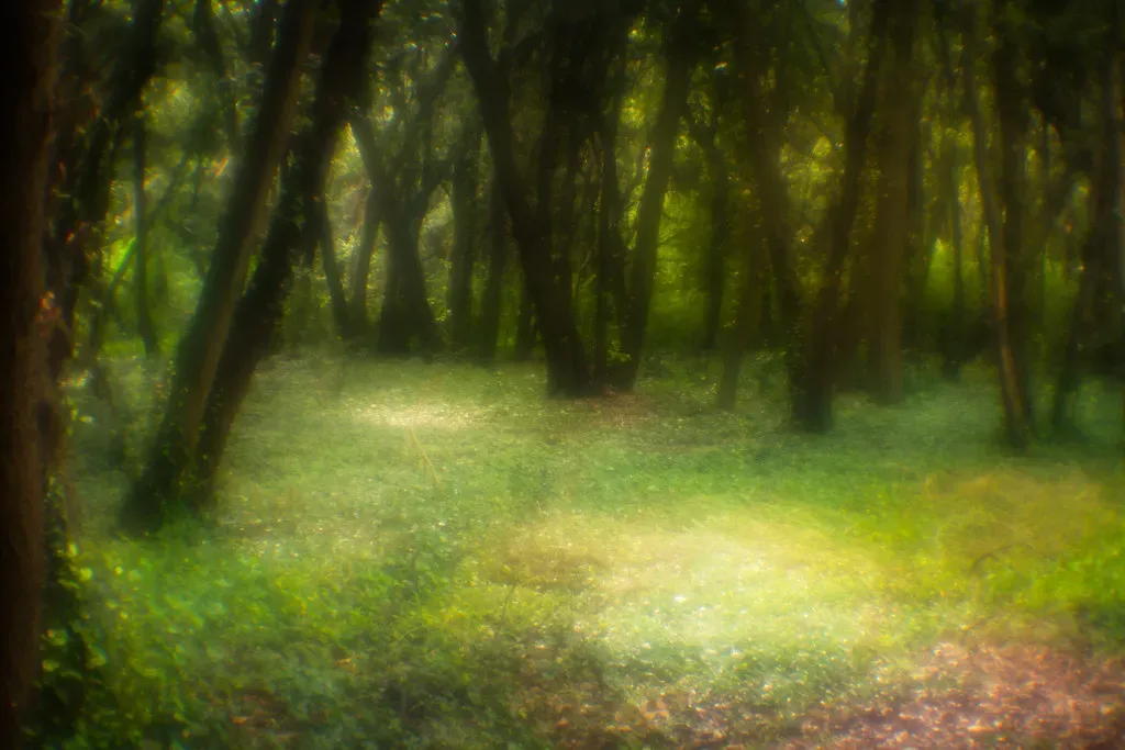 Pisces: Dreaming Deeper as the Light Changes (Image Credits: Flickr)