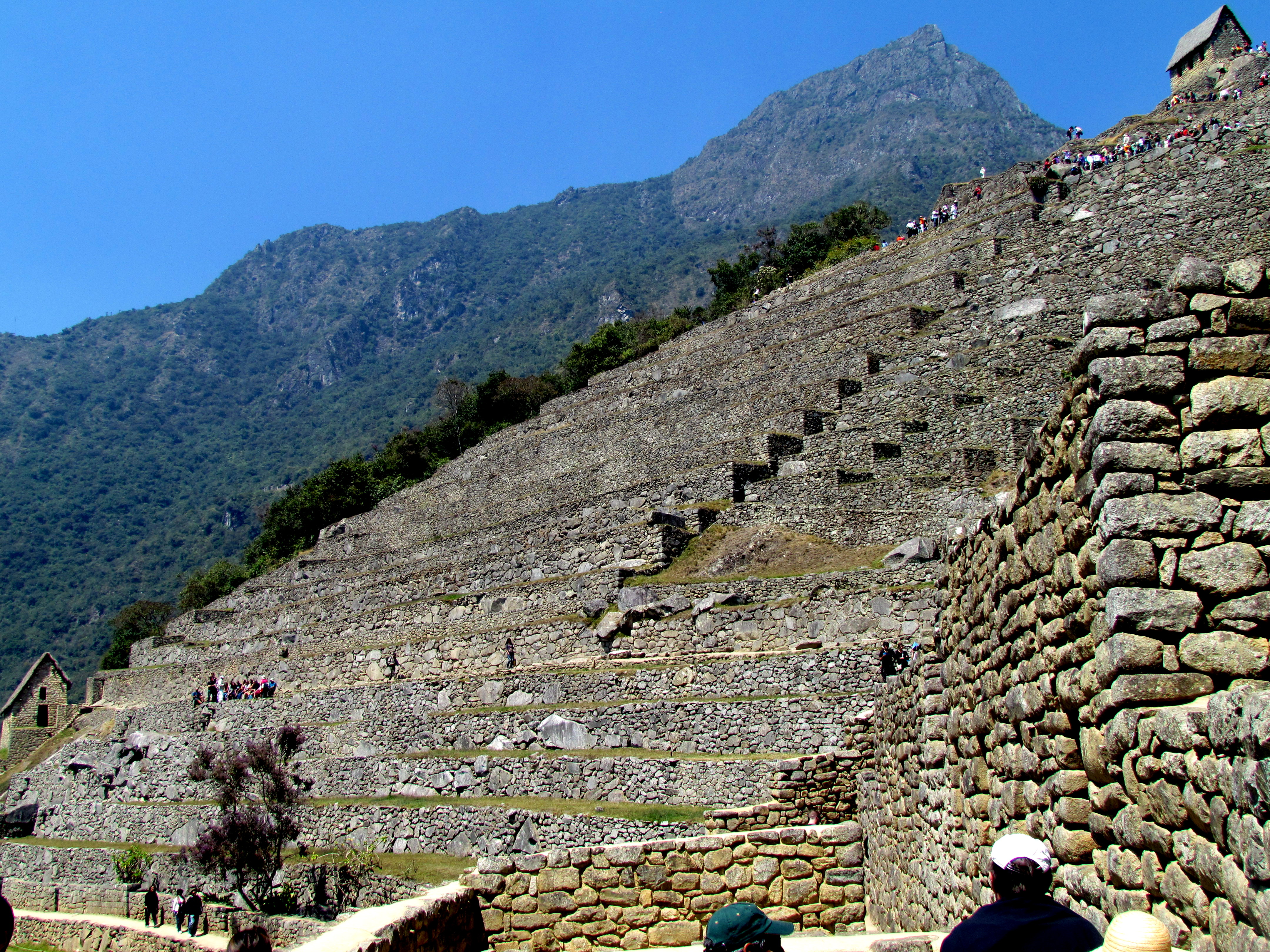 Call to Action (Image Credits: Wikimedia)