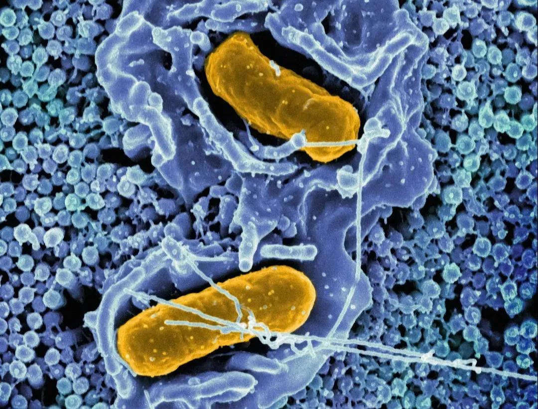 Conclusion: Living in a World We Can’t See (Image Credits: Unsplash)