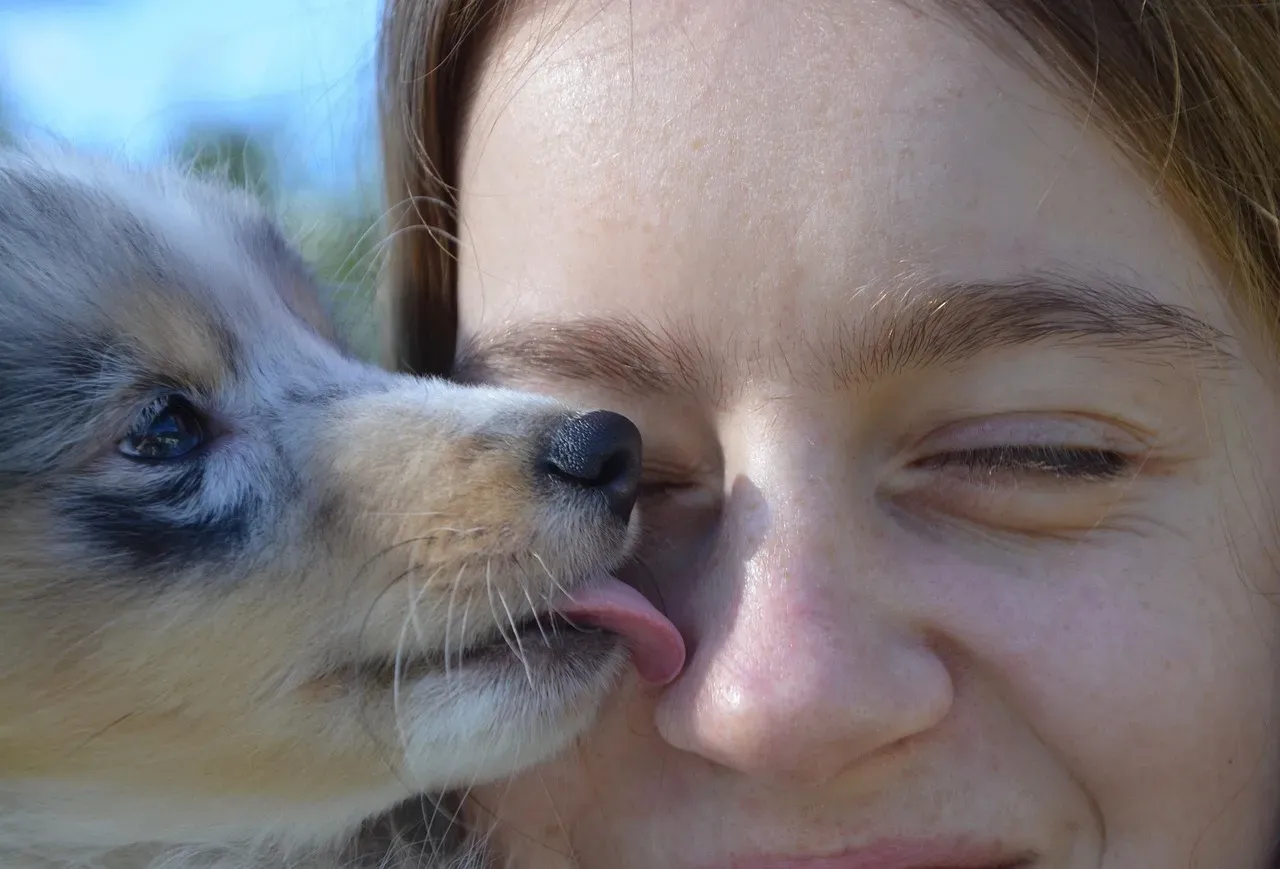 Parasites, Poop, and the Things You Do Not Want Near Your Mouth (Image Credits: Pixabay)