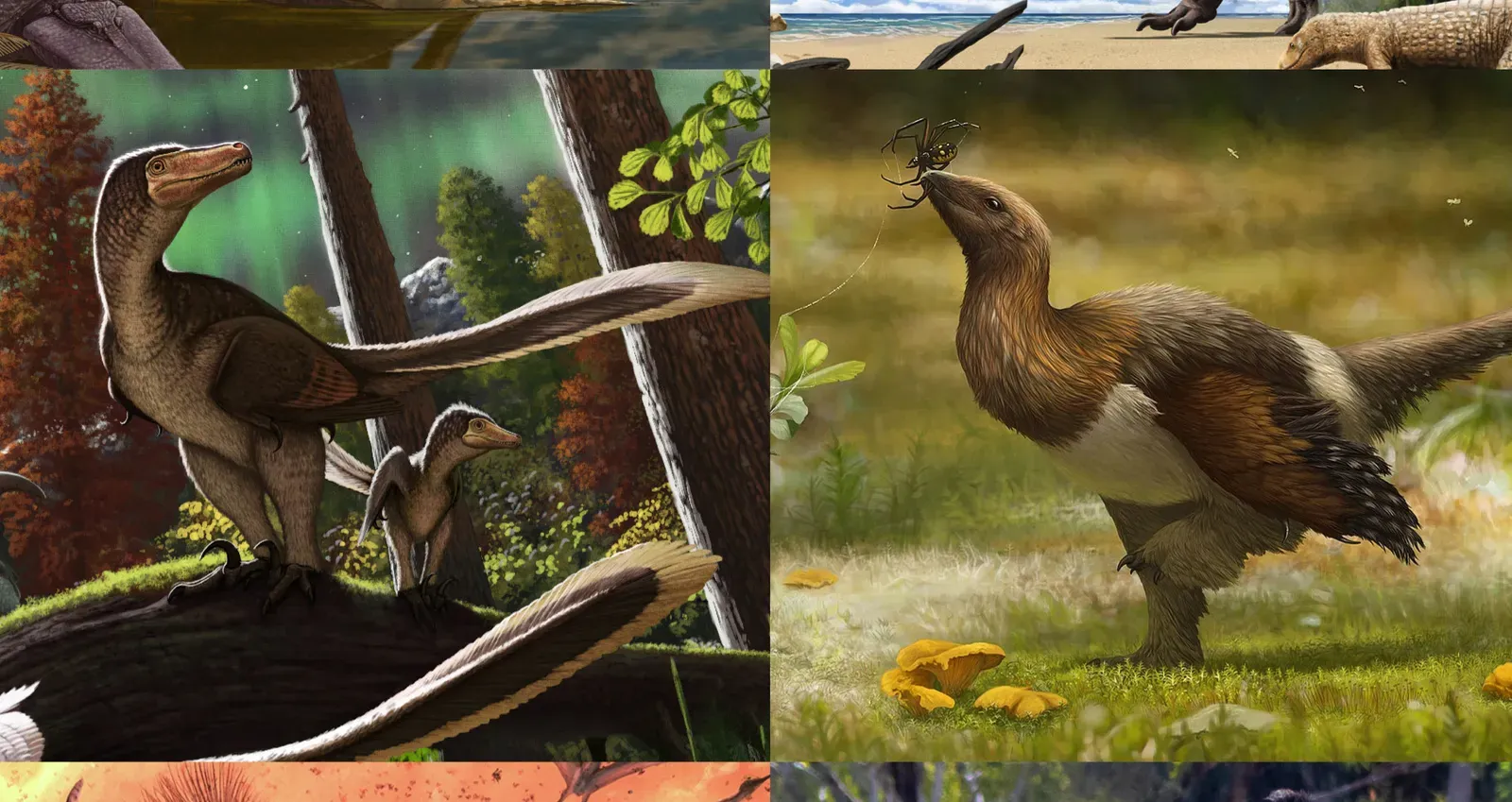 Bird-Like Theropods: Turning Dinosaurs into Feathered Animals (Image Credits: Wikimedia)