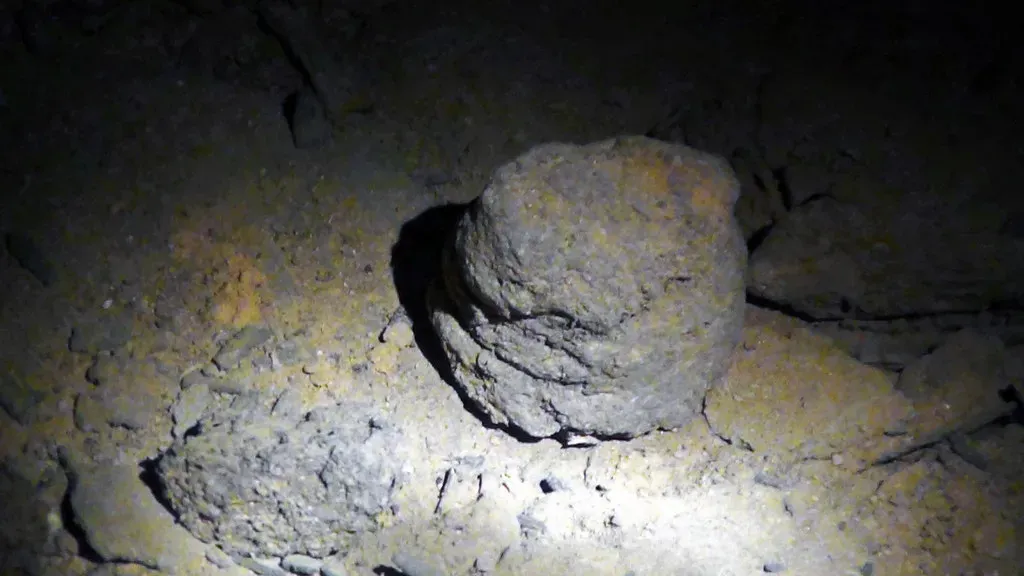 6. Paisley Caves' First Coprolite Dates (James St. John, Flickr, CC BY 2.0)