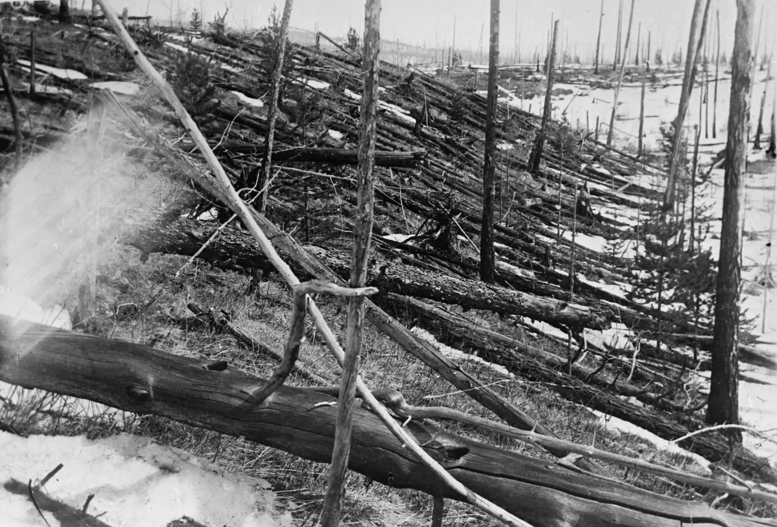 The Tunguska Event: The Blast That Left No Crater (Image Credits: Wikimedia)