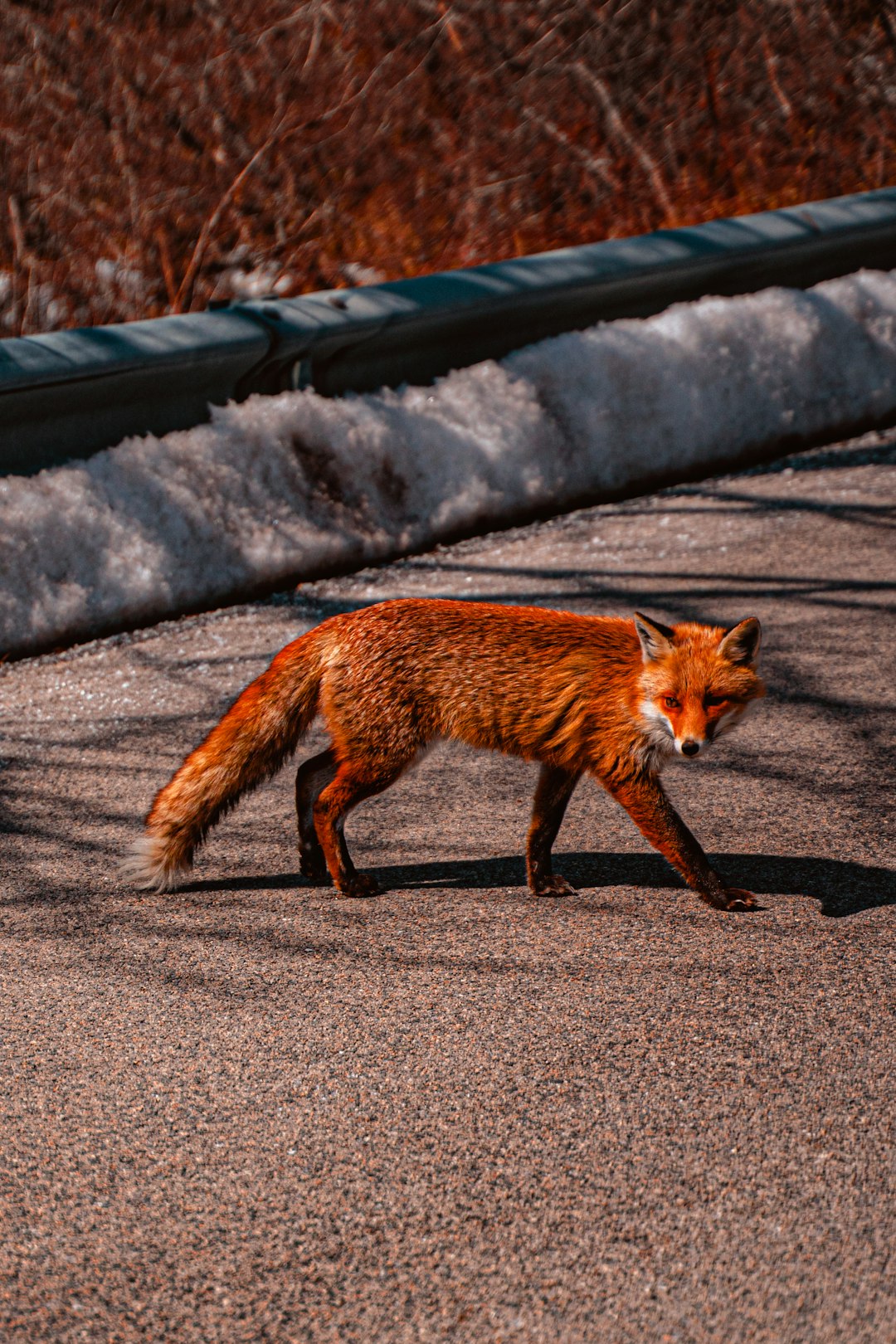 Global Perspectives (Image Credits: Unsplash)