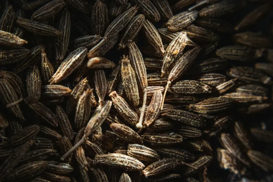 #1 - The Actual Secret Behind Seeds That Refuse to Die (Image Credits: Unsplash)