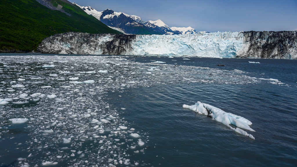 Harvard Glacier - College Fjord's Advancing Ice Stream (Image Credits: Flickr)